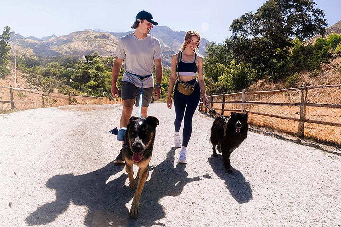 a couple walking their dogs out in nature