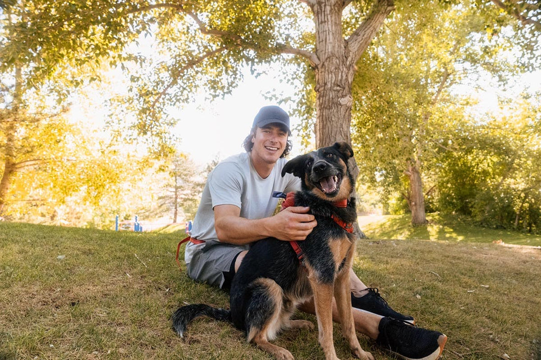 dog and owner out in nature using durable dog gear - harness and leash