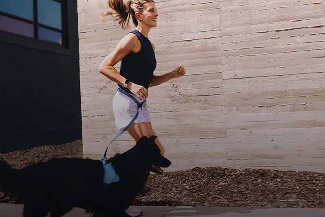 The Benefits of Walking for Dogs and Humans
