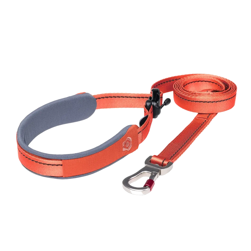 Ready-Go Leash