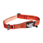 Ready-Go Collar