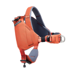 Ready-Go Harness