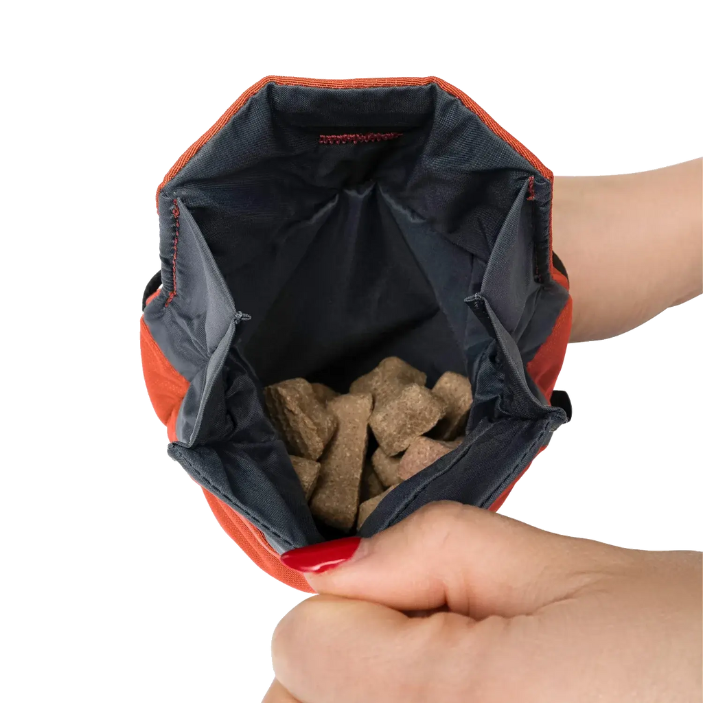 Snack Sack