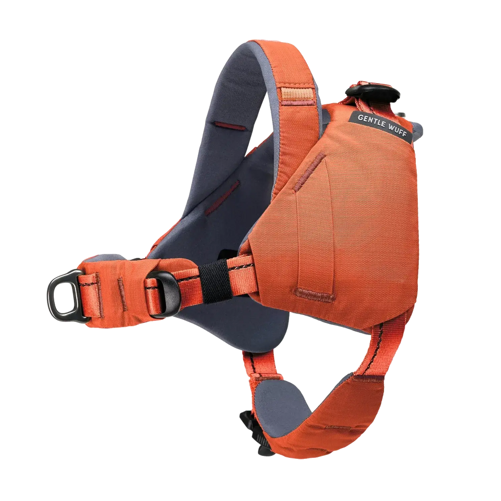 Ready-Go Harness