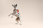 Ready-Go Harness