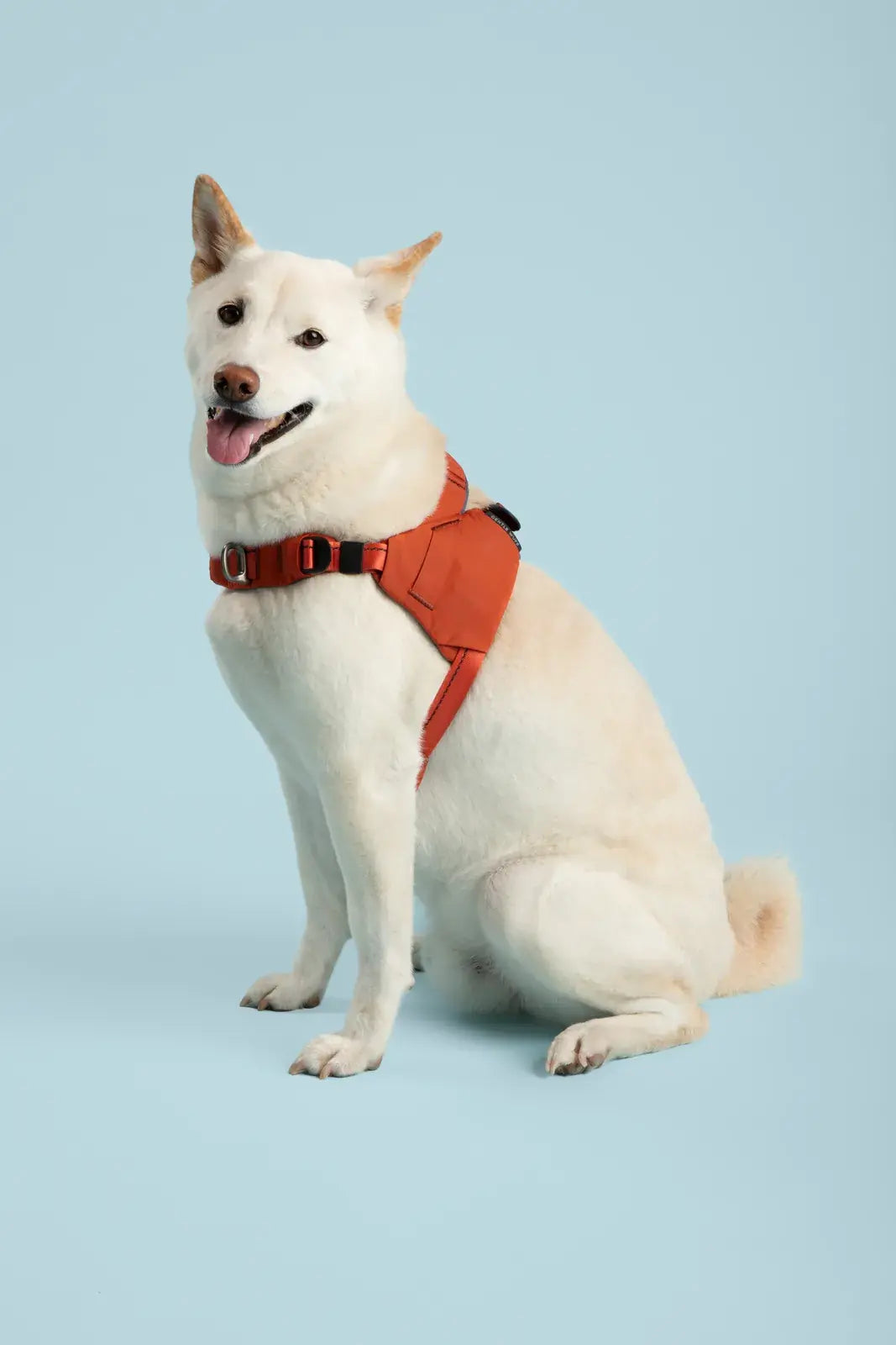 Ready-Go Harness