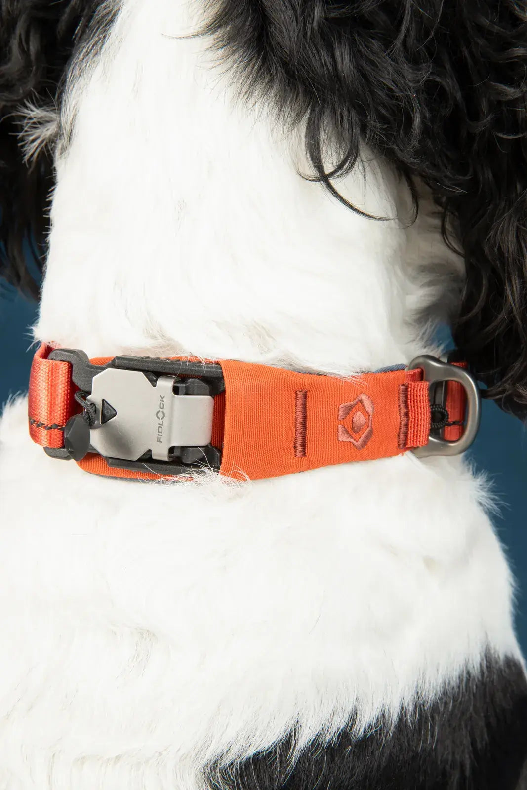 Ready-Go Collar