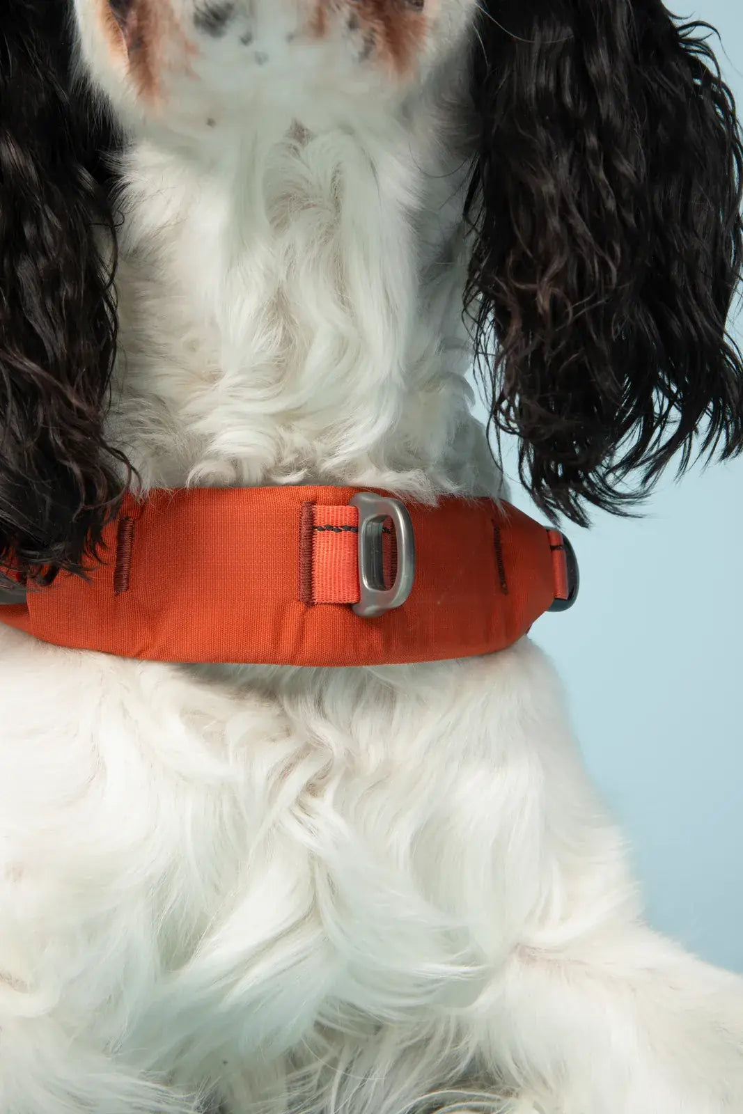 Ready-Go Collar