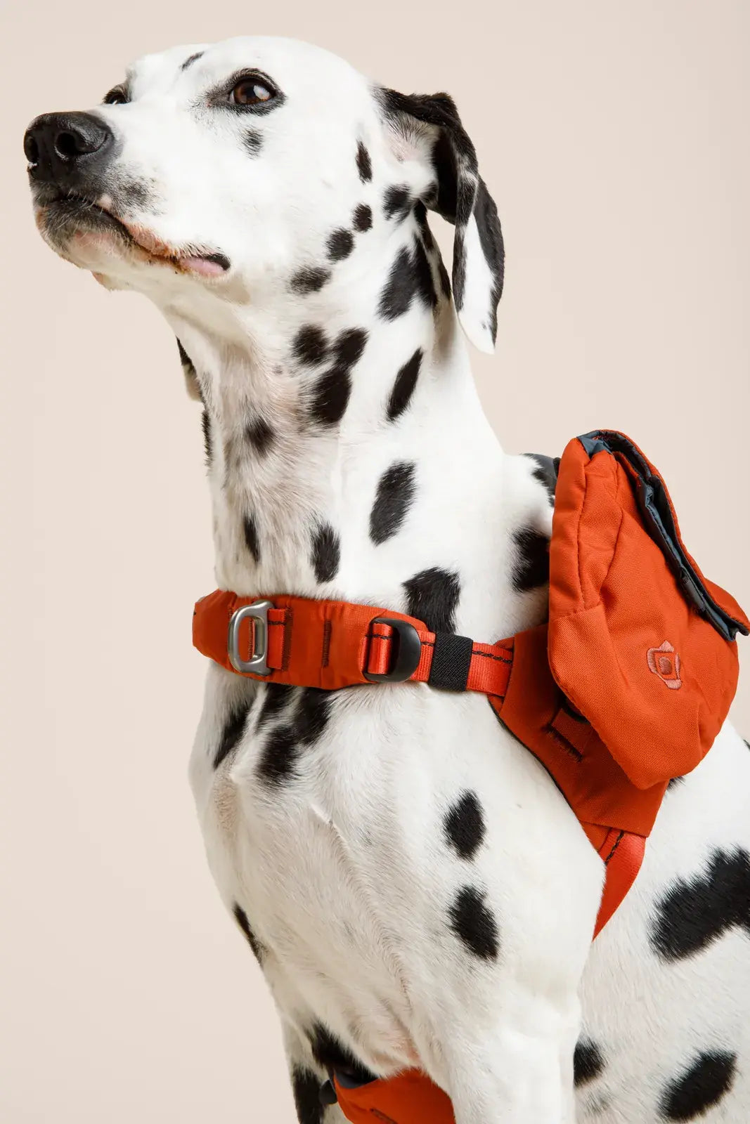 Ready-Go Crossbody