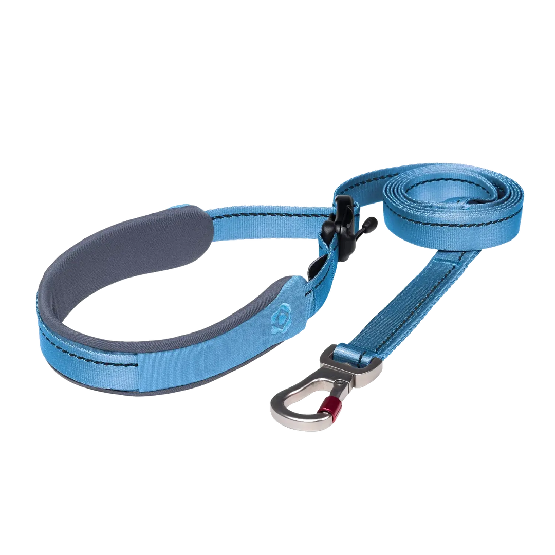 Ready-Go Leash