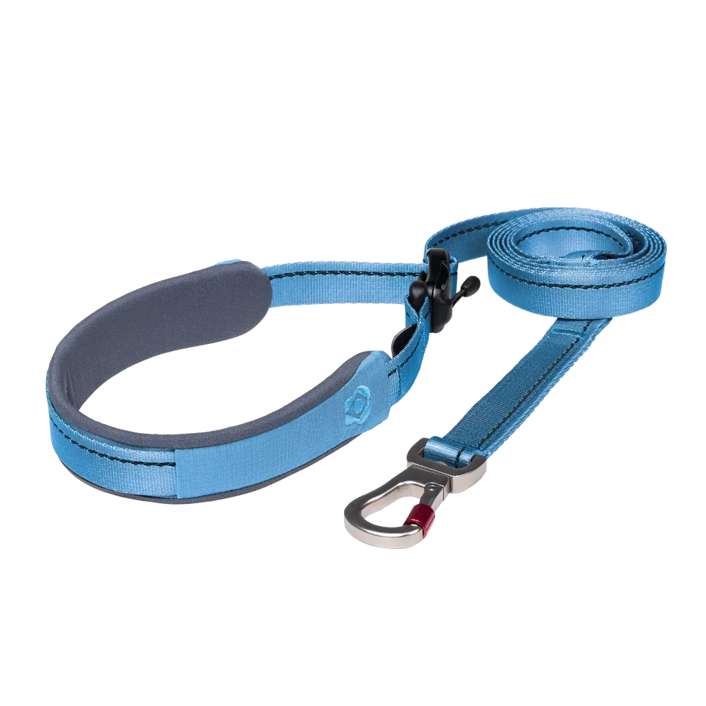 Ready-Go Leash