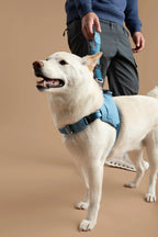 Ready-Go Harness