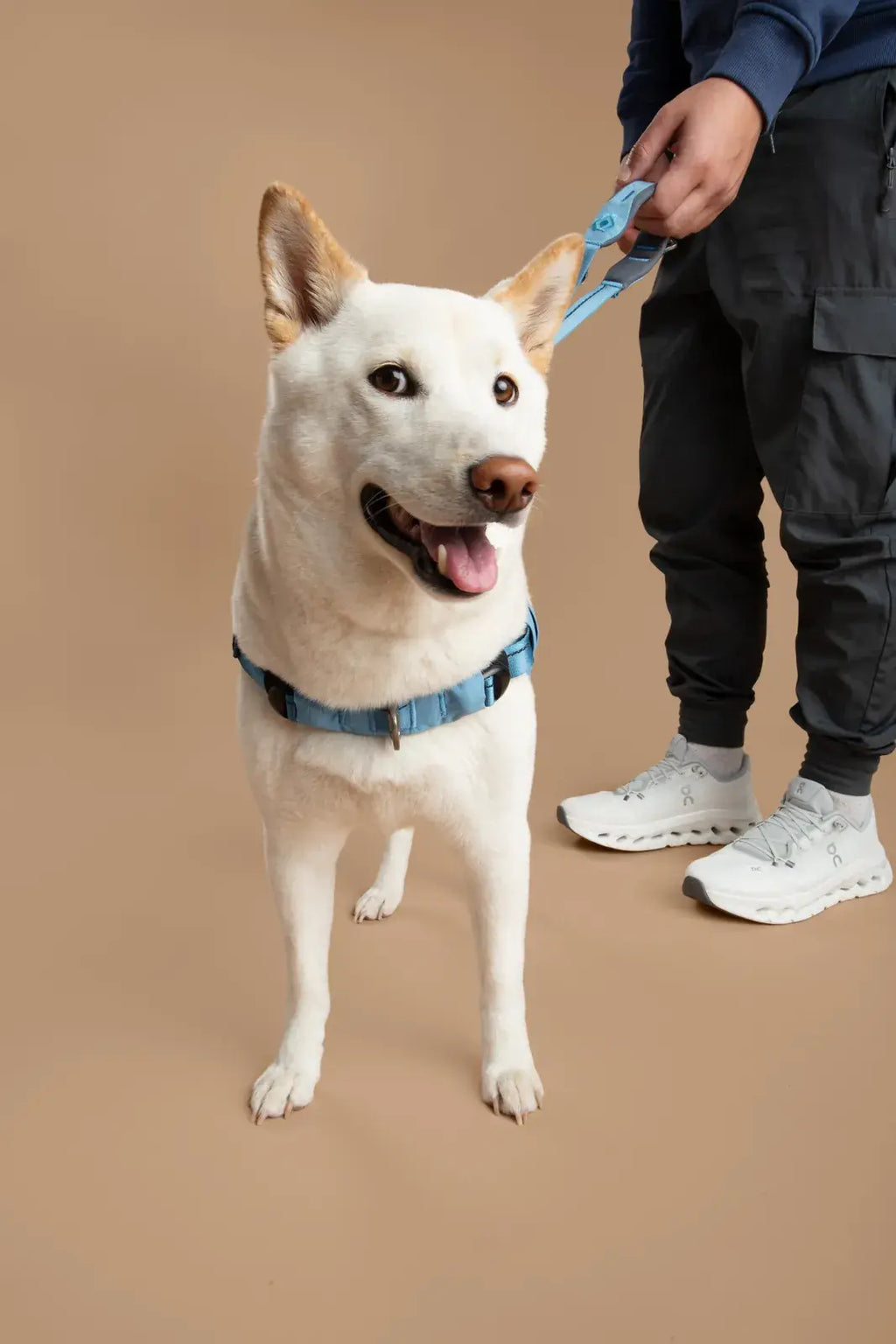 Ready-Go Leash