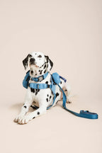 Ready-Go Harness