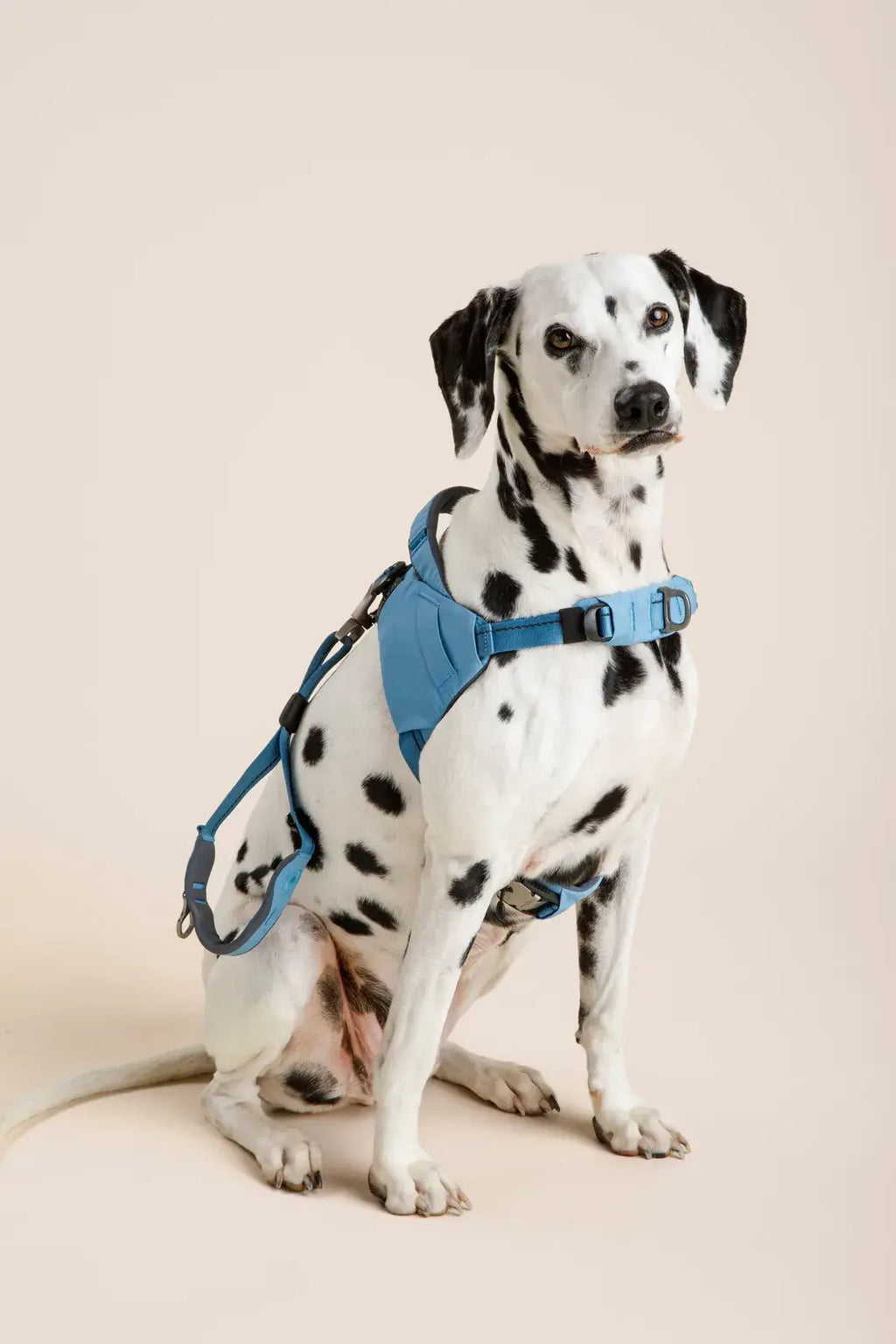 Ready-Go Harness