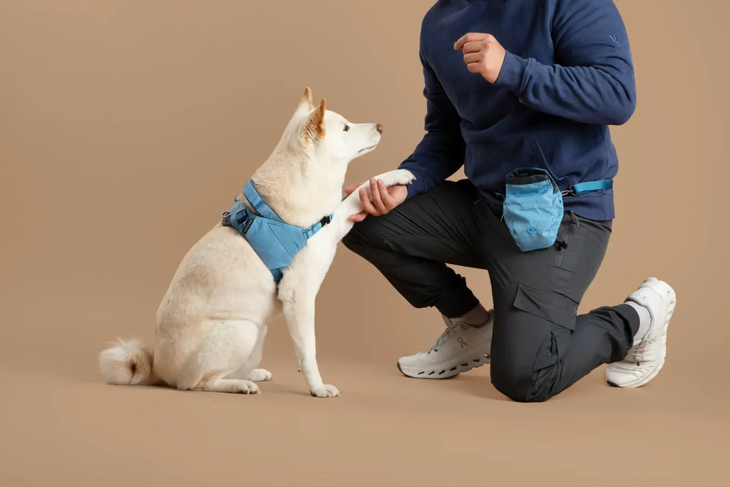 Ready-Go Harness