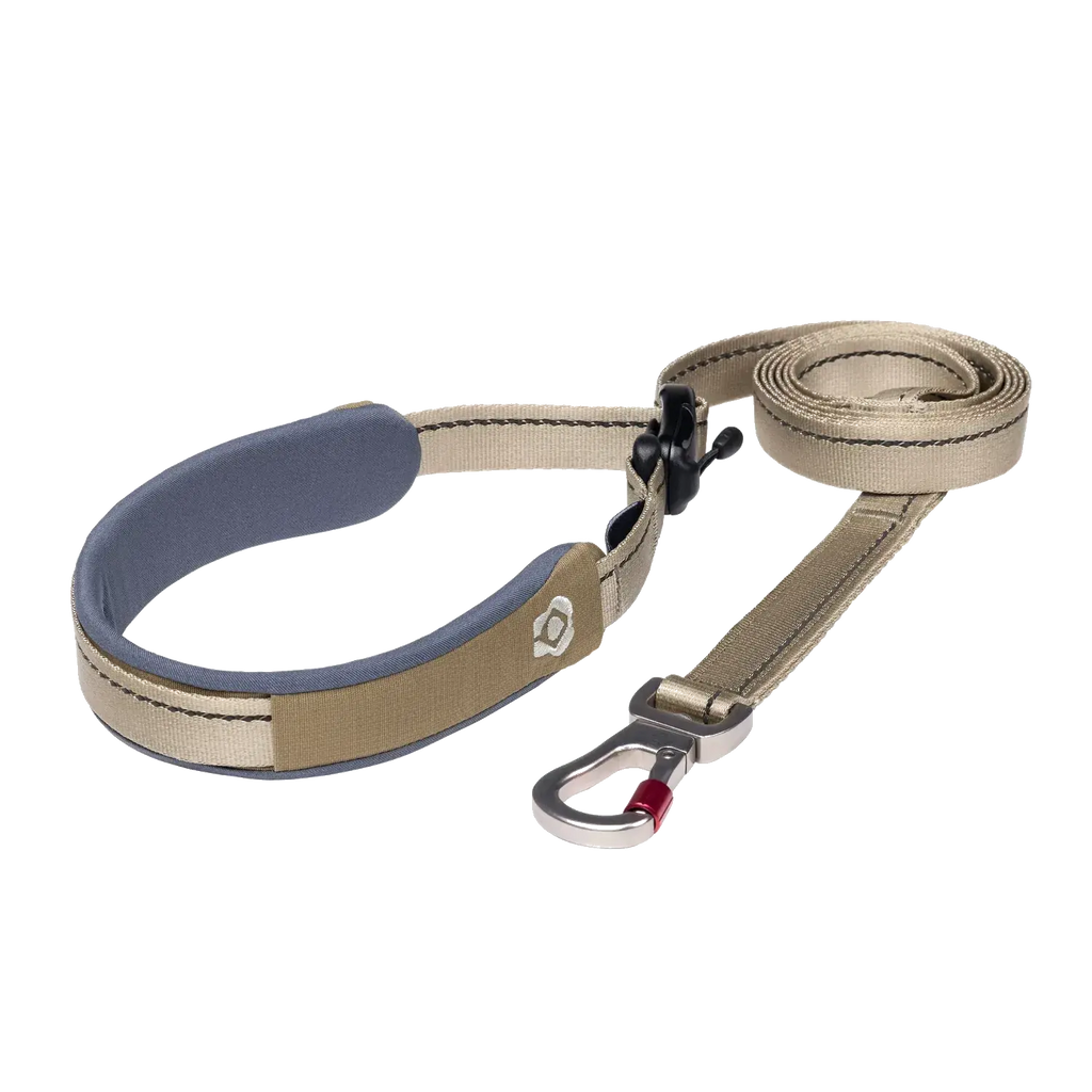 Ready-Go Leash