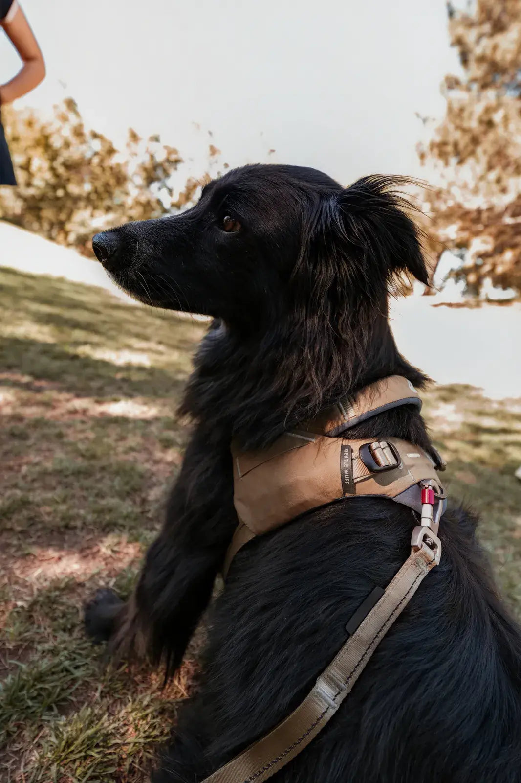 Ready-Go Harness