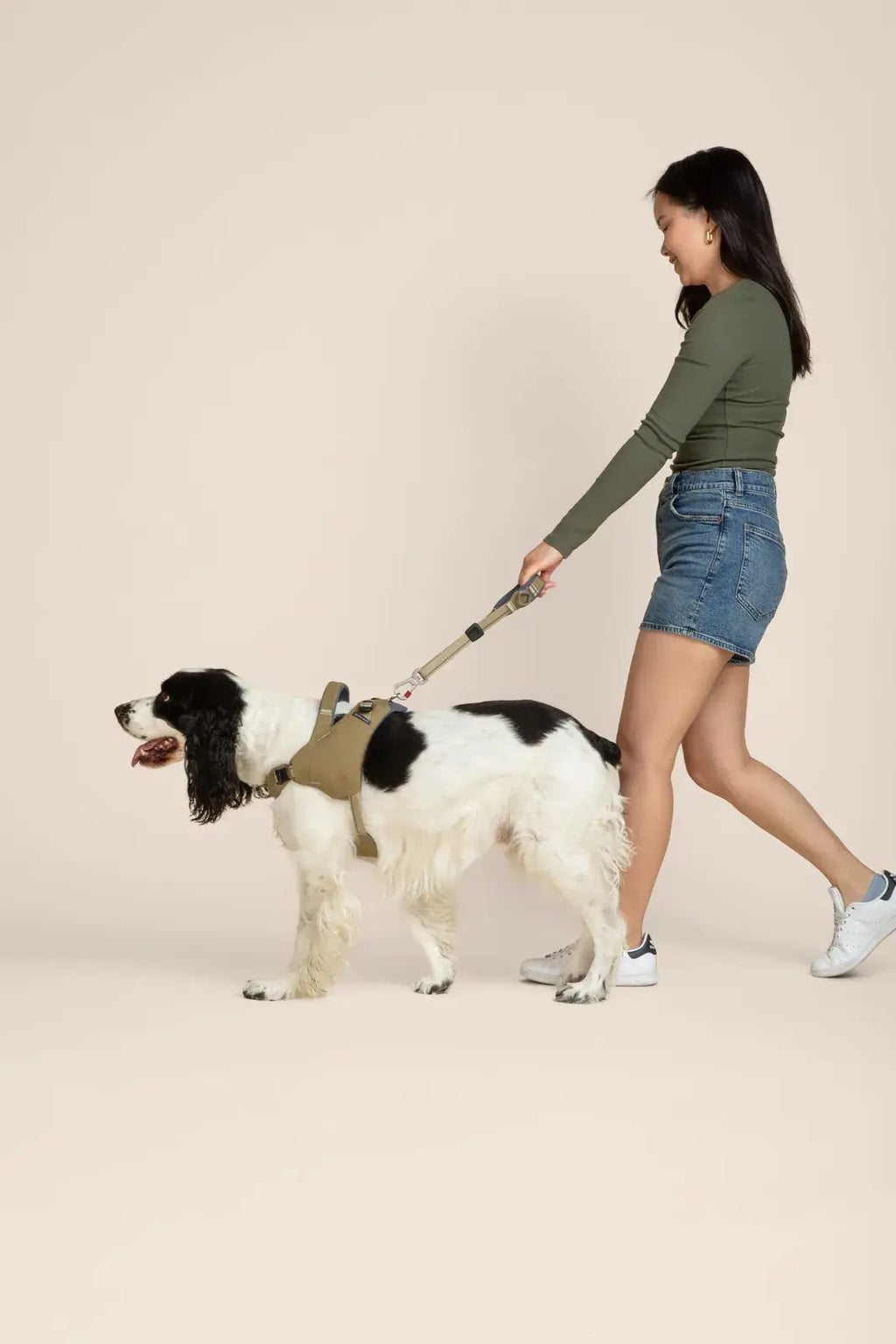 Ready-Go Harness