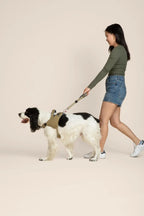 Ready-Go Harness