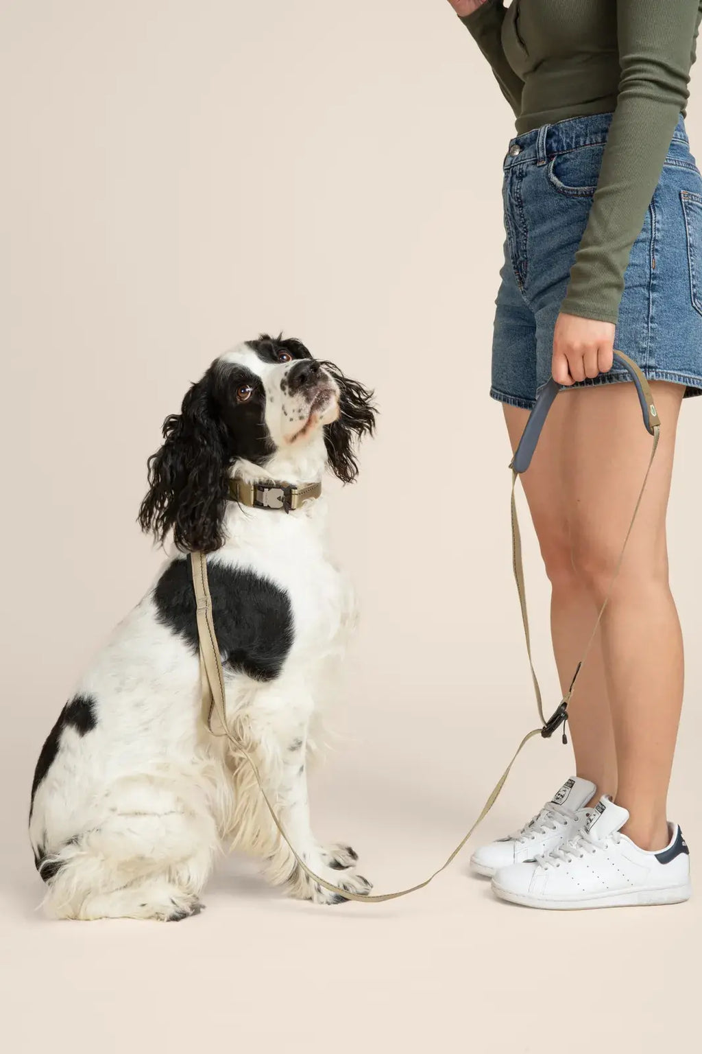 Ready-Go Leash