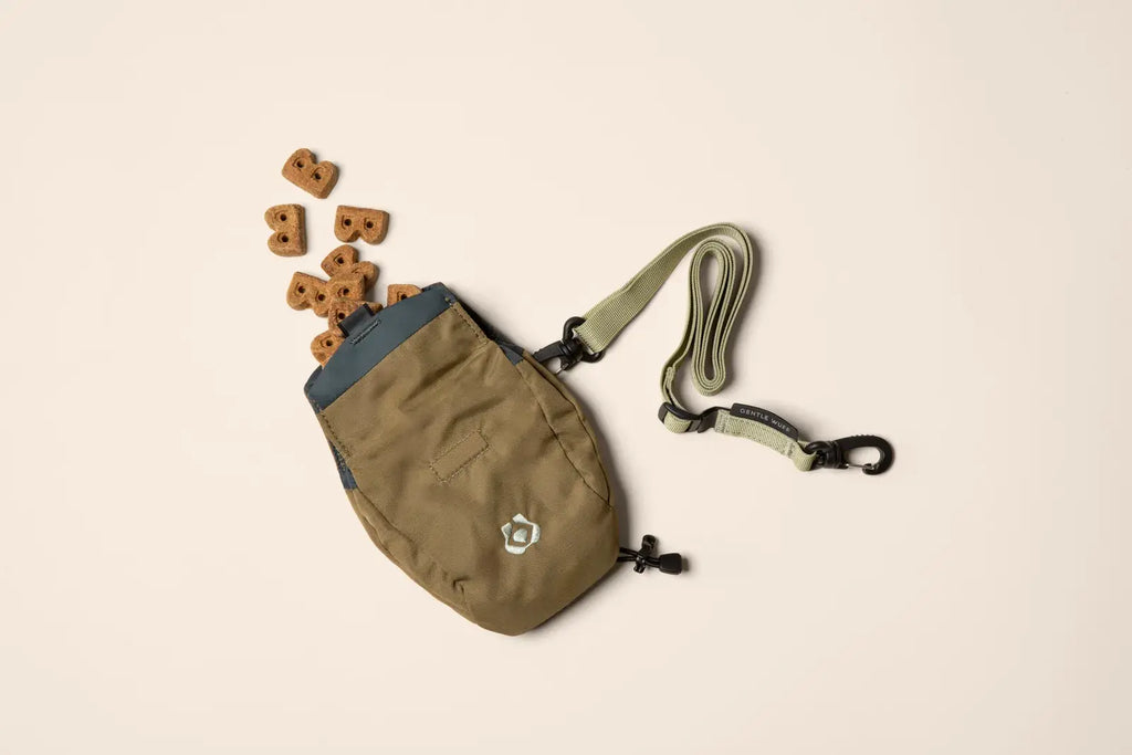 Snack Sack
