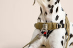 Ready-Go Harness