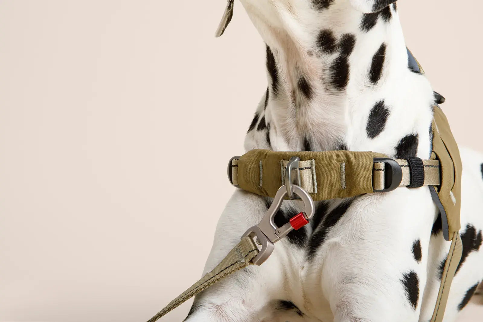 Ready-Go Harness