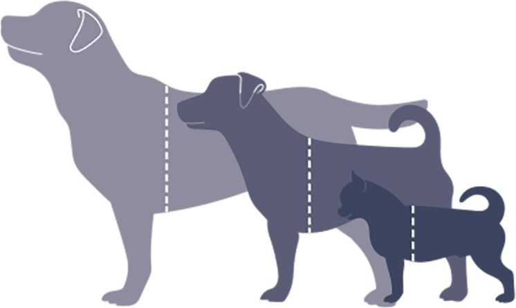 Sizing Graphics